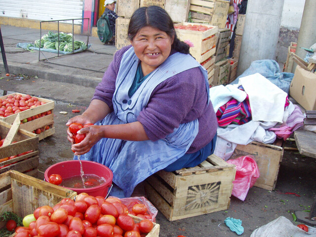 Woman washing tomatoes